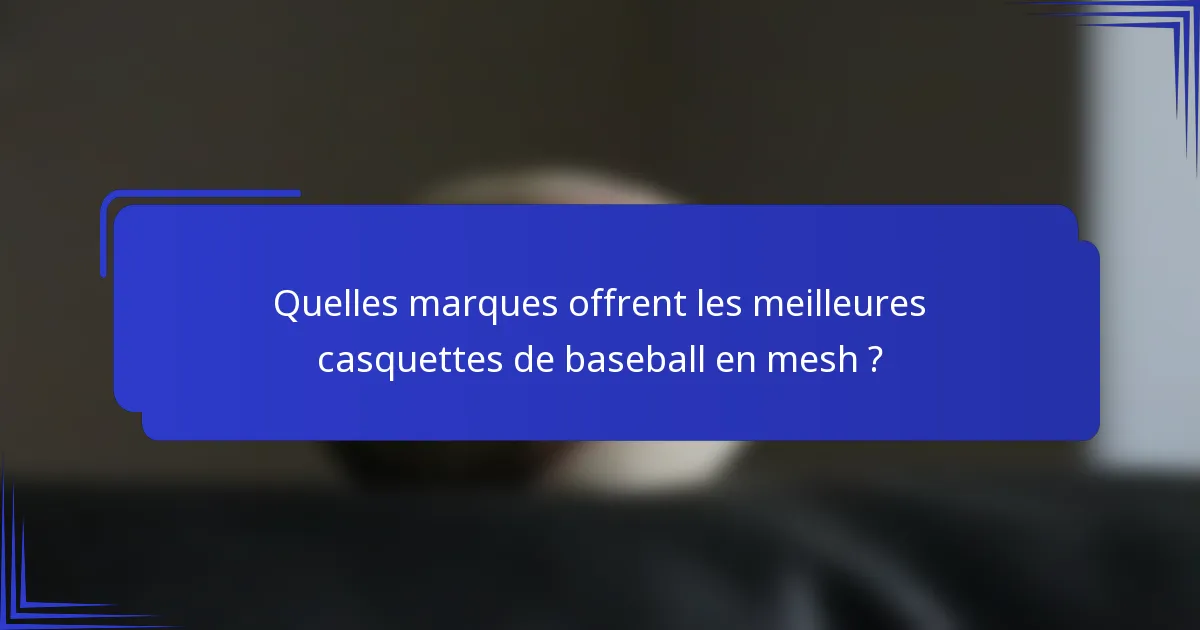 Quelles marques offrent les meilleures casquettes de baseball en mesh ?